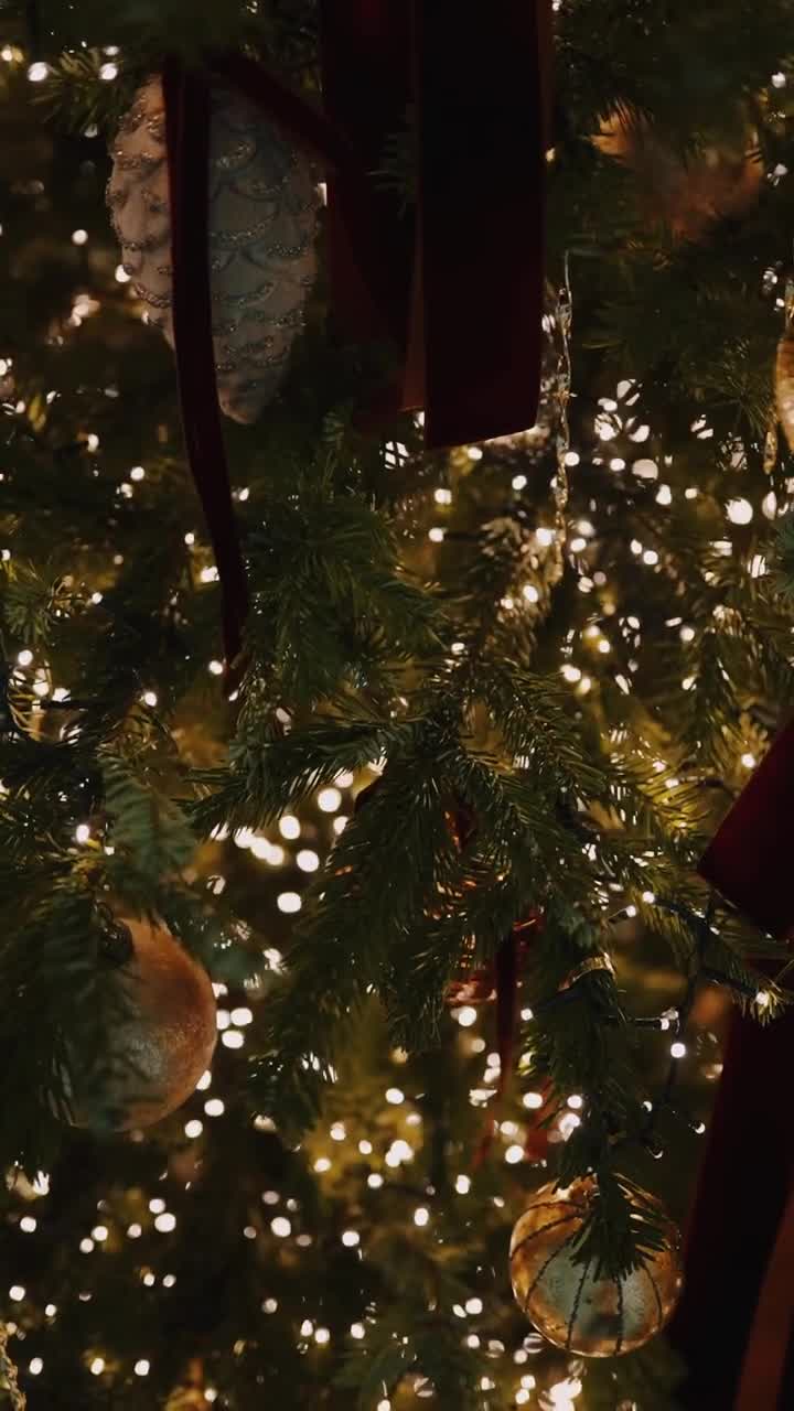 Preview of the Go Flower Christmas film